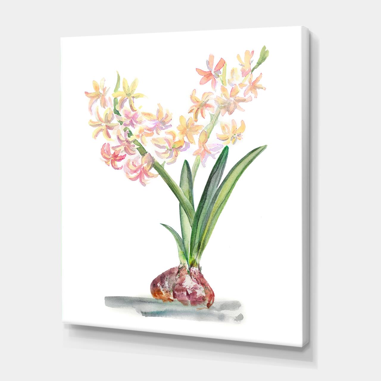 Designart - Blossoming Hyacinth In Spring - Traditional Canvas Wall Art Print